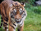 Zoo_de_la_fl&egrave;che6.png