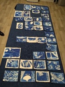 Cyanotype retour 4
